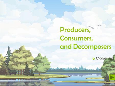 Producers, Consumers, and Decomposers