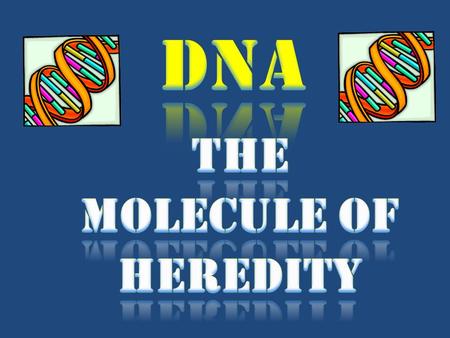 The molecule of heredity