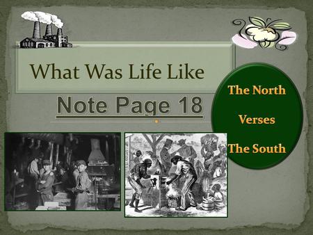 What Was Life Like Looking at this data, what kind of conclusion Could you make about life in the Mid 1800’s?