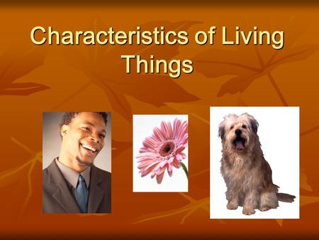 Characteristics of Living Things