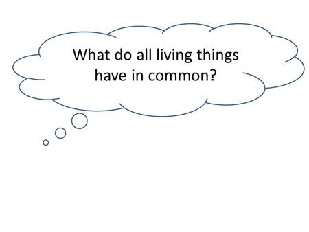 What do all living things have in common?