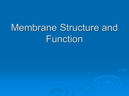 Membrane Structure and Function