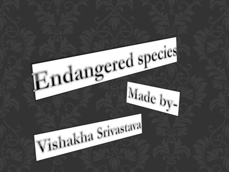 WHY ARE BEAUTIFUL SPECIES BECOMING ENDANGERED ? Beautiful and wonderful species are getting endangered just because of humans cruelty and greediness.