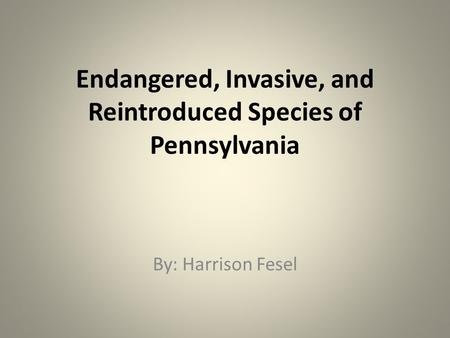 Endangered, Invasive, and Reintroduced Species of Pennsylvania By: Harrison Fesel.