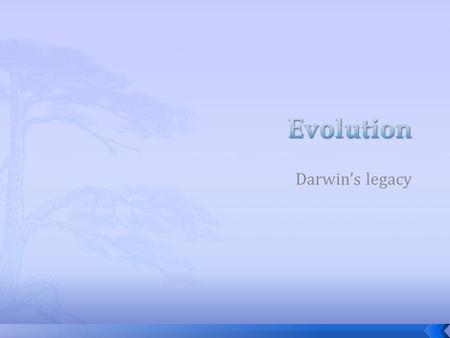 Darwin’s legacy.  The Origin of Species (1859)  The Descent of Man (1871)