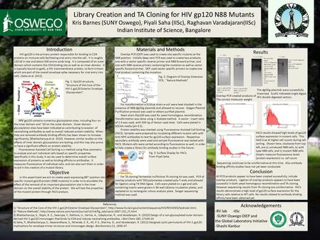 Library Creation and TA Cloning for HIV gp120 N88 Mutants Kris Barnes (SUNY Oswego), Piyali Saha (IISc), Raghavan Varadajaran(IISc) Indian Institute of.