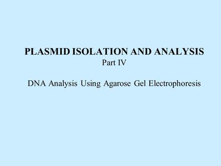 DNA Analysis Using Agarose Gel Electrophoresis Day 1