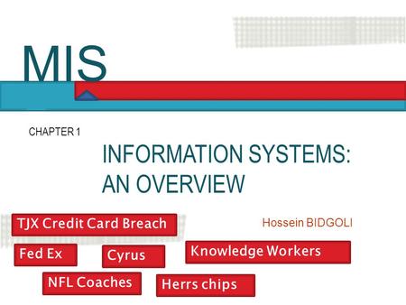 MIS INFORMATION SYSTEMS: AN OVERVIEW TJX Credit Card Breach