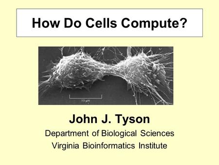 How Do Cells Compute? John J. Tyson Department of Biological Sciences Virginia Bioinformatics Institute.