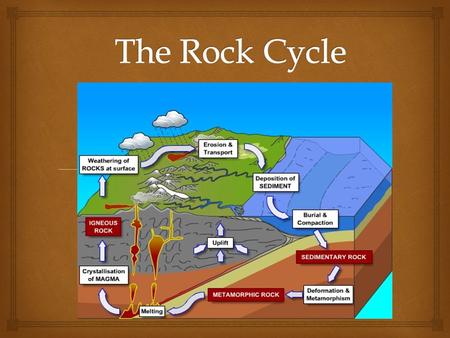   Metamorphic  Igneous  Sedimentary Rock Types.