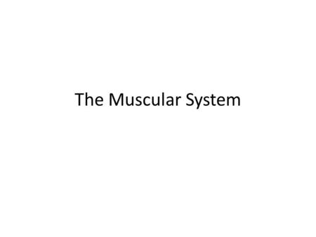 The Muscular System.