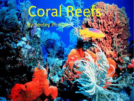 Coral Reefs By Seeley Phillips.