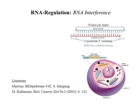 RNA-Regulation: RNA Interference