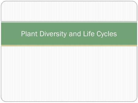 Plant Diversity and Life Cycles