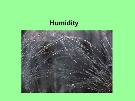 Humidity. These figures were all obtained from the National Climatic Data Center.