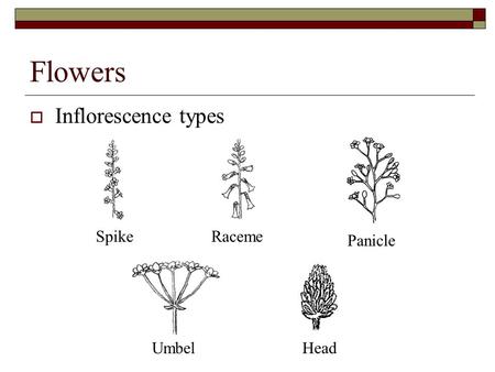 Range Plants -- OBJ 1: PPT