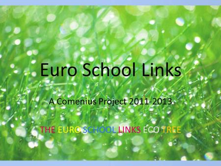 Euro School Links A Comenius Project 2011-2013 THE EURO SCHOOL LINKS ECO TREE.