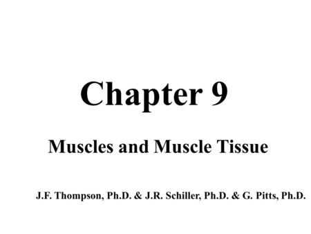 Muscles and Muscle Tissue