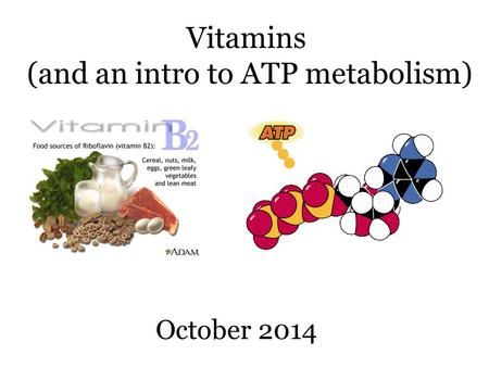 Vitamins (and an intro to ATP metabolism) October 2014.