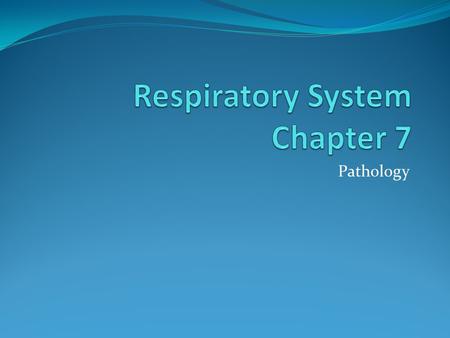 Respiratory System Chapter 7