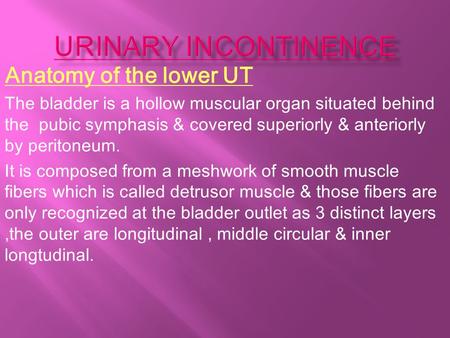 Anatomy of the lower UT The bladder is a hollow muscular organ situated behind the pubic symphasis & covered superiorly & anteriorly by peritoneum. It.