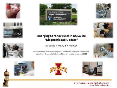 Veterinary Diagnostic Laboratory Iowa State University Emerging Coronaviruses in US Swine “Diagnostic Lab Update” RB Baker, R Main, & K Mueller Department.