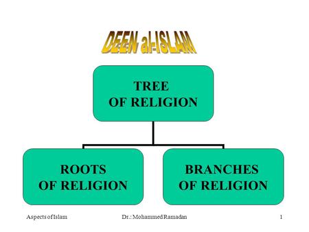 Aspects of IslamDr.: Mohammed Ramadan1 TREE OF RELIGION ROOTS OF RELIGION BRANCHES OF RELIGION.