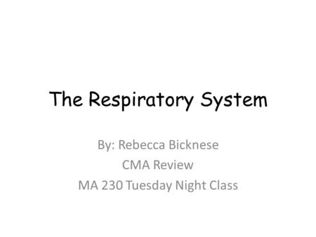 The Respiratory System By: Rebecca Bicknese CMA Review MA 230 Tuesday Night Class.