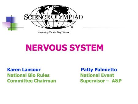 NERVOUS SYSTEM Karen Lancour Patty Palmietto