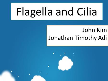 Flagella and Cilia John Kim Jonathan Timothy Adi.