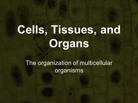 Cells, Tissues, and Organs