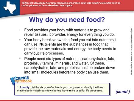 Why do you need food? Food provides your body with materials to grow and repair tissues. It provides energy for everything you do. Your body breaks down.