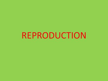 REPRODUCTION.