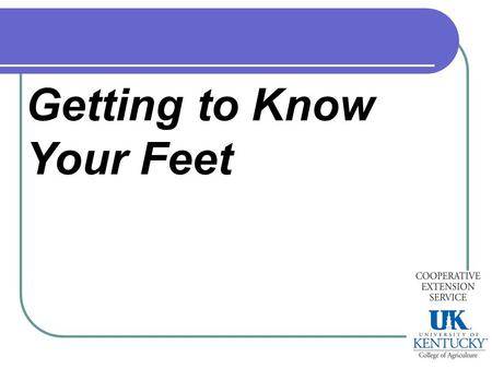 Getting to know your feet