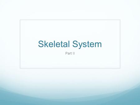 Skeletal System Part II. Appendicular Skeleton ______ bones of the limbs and pectoral and pelvic girdles 126 In RED.