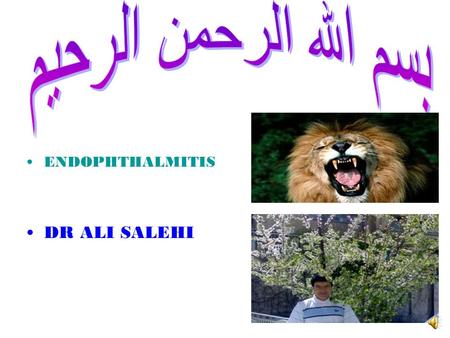 ENDOPHTHALMITIS DR ALI SALEHI Endophthalmitis Is a serious condition that can result in permanent and dramatic loss of vision. Early diagnosis and treatment.