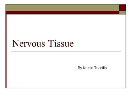 Nervous Tissue By Kristin Tuccillo. What three things is nervous tissue a component of? 1) Brain 2) Spinal Cord 3) Nerves.