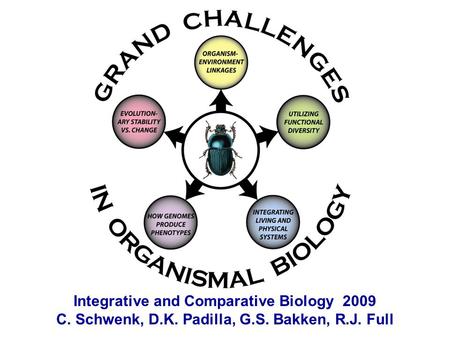 Integrative and Comparative Biology 2009 C. Schwenk, D.K. Padilla, G.S. Bakken, R.J. Full.