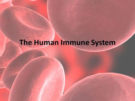 The Human Immune System