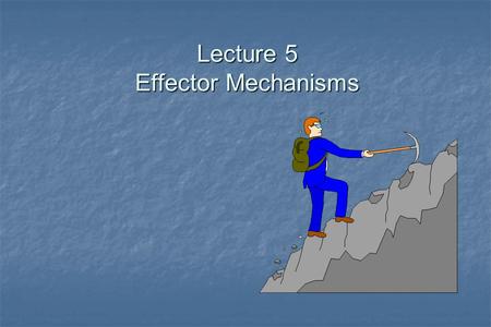 Lecture 5 Effector Mechanisms. Host Defense DefenseMechanisms Innate Inborn independent of previous experience Acquired Naturallyacquired Active Adoptive.