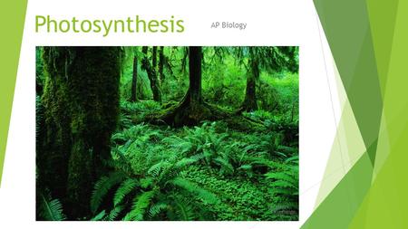 Photosynthesis AP Biology Photosynthesis: Life from Light and Air.