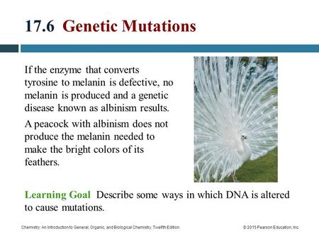 Chemistry: An Introduction to General, Organic, and Biological Chemistry, Twelfth Edition© 2015 Pearson Education, Inc. 17.6 Genetic Mutations If the enzyme.