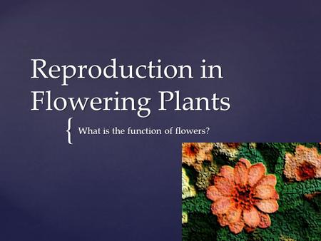 Reproduction in Flowering Plants