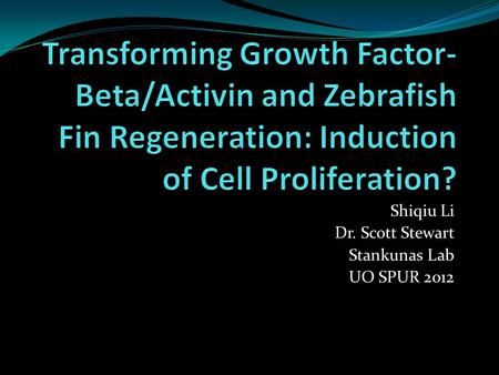 Shiqiu Li Dr. Scott Stewart Stankunas Lab UO SPUR 2012.