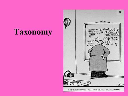 Taxonomy. I. General Information A.Definition: the study of classification. B.Why group things? 1.Makes it easier to find information on an organism.