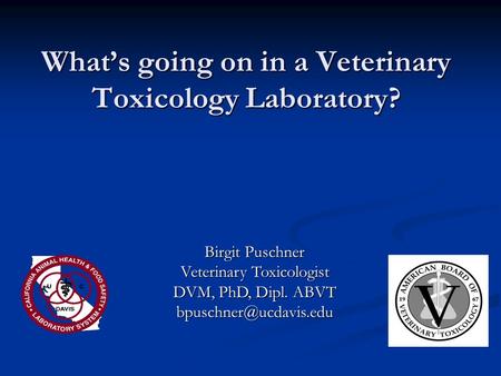 What’s going on in a Veterinary Toxicology Laboratory?