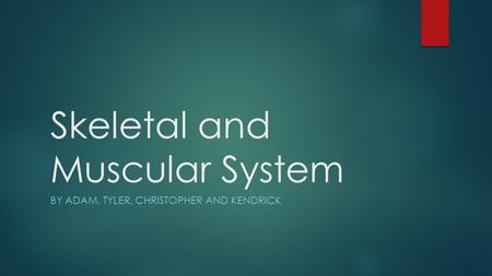 Skeletal and Muscular System BY ADAM, TYLER, CHRISTOPHER AND KENDRICK.