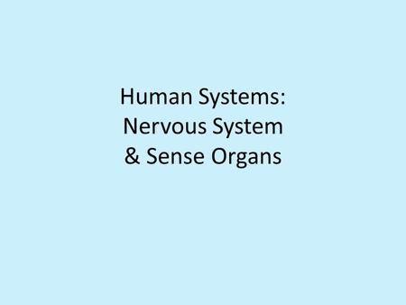 Human Systems: Nervous System & Sense Organs