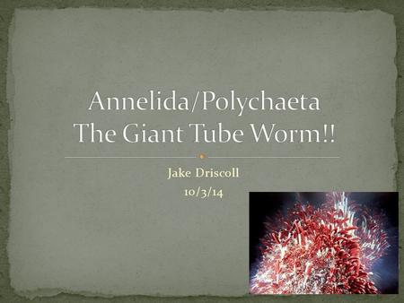 Jake Driscoll 10/3/14. 1. Allopatric speciation. The differentiation of geographically isolated populations into distinct species 2. Benthos. Organisms.