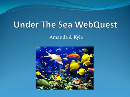 Amanda & Kyla. Illinois State Standards 12.A.2a Describe simple life cycles of plants and animals and the similarities and differences in their offspring.